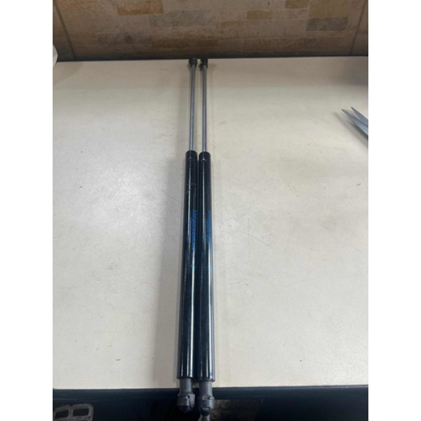 Par Amortecedor Tampa Traseira Fiat Argo 2018 Original