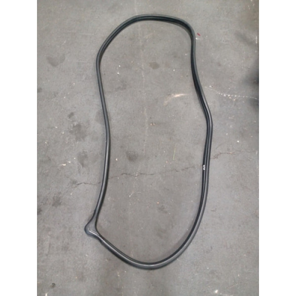 Borracha Da Porta Dianteira Esquerda Jac T40 2019/20 1.6 16v