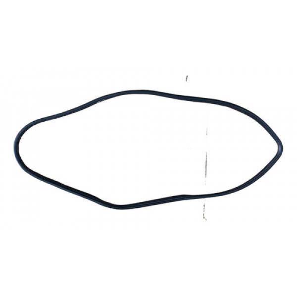 Borracha Porta Dianteira Direita Hyundai Hb20 1.6 2012 2013