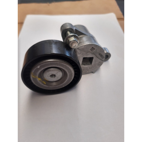 Esticador De Correia Ford Ka 1.0 3cc 2021 Original 